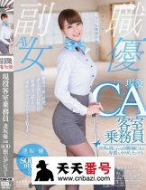 SDSI-055